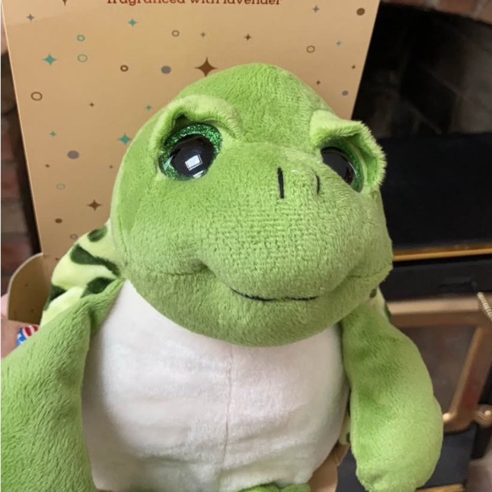 NWT Microwaveable Cosy Hottie Frog